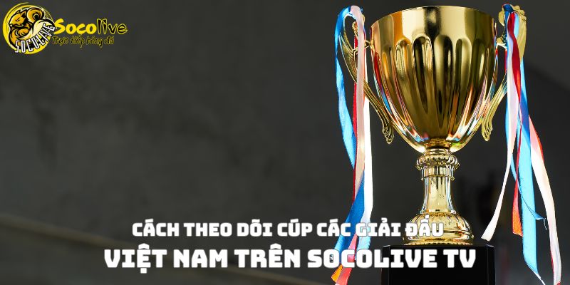 Cúp các giải đấu bóng đá tại Việt Nam – Hành trình Cúp Quốc gia 3 Cách theo dõi cúp các giải đấu Việt Nam trên Socolive TV